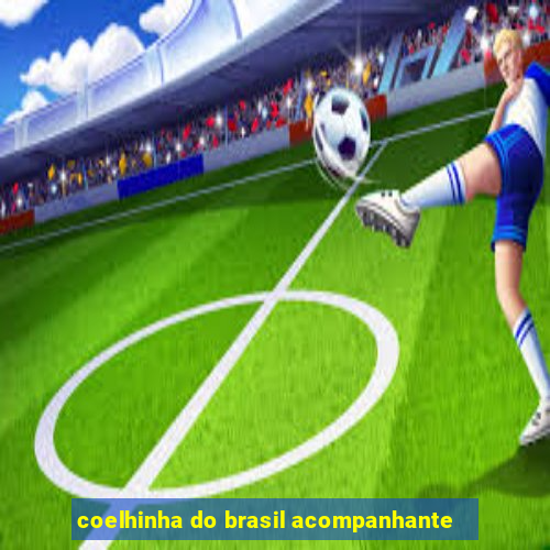 coelhinha do brasil acompanhante